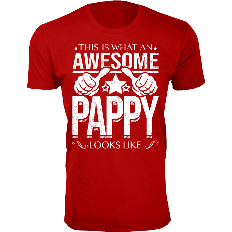 Men's This is What An Awesome PAPPY Looks Like T-shirts